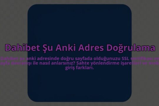 Dahibet-Su-Anki-Adres-Dogrulama-overlay-1785082929.jpg